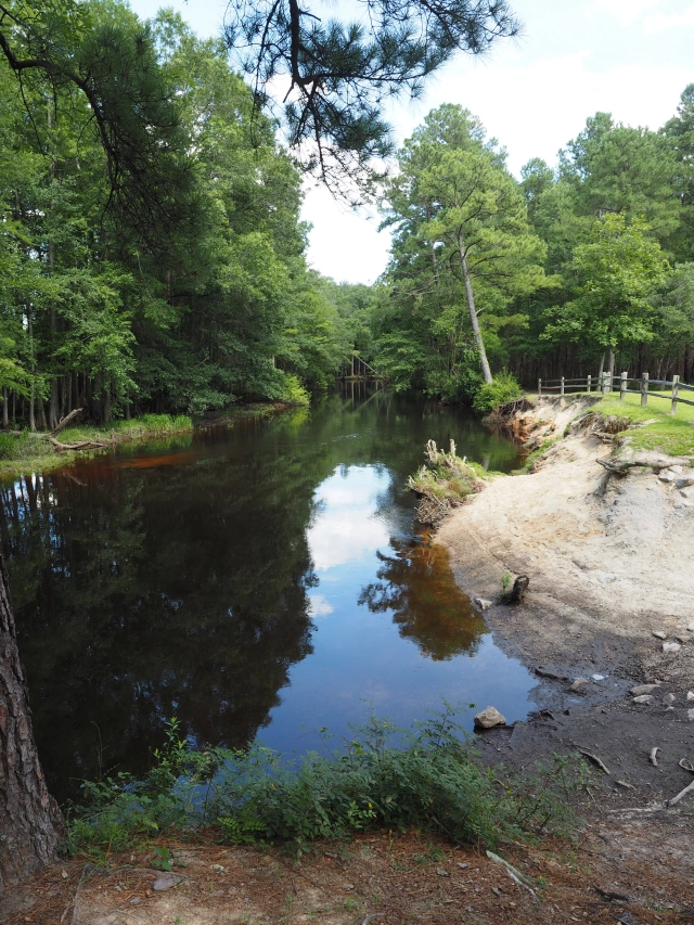 Lumber River State Park Chalk Banks Access Kids in Parks